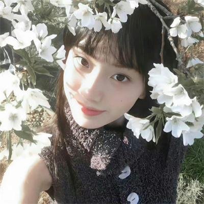 妖狐传